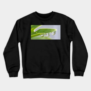 Rain Drops Crewneck Sweatshirt